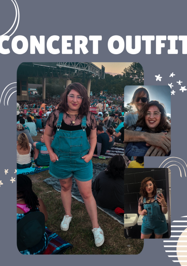 Willie Nelson and Bob Dylan concert Outfit